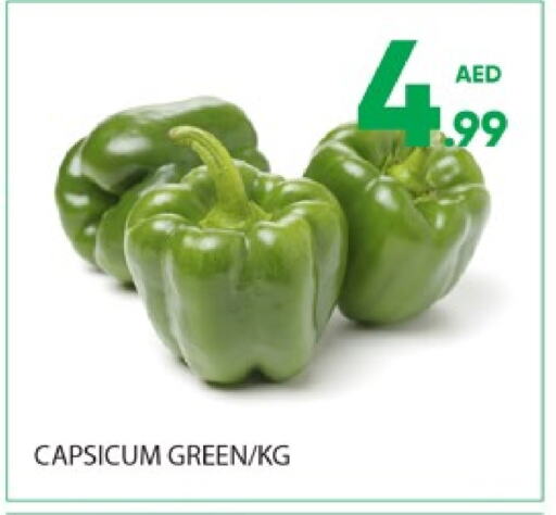 Chilli / Capsicum available at Al Madina  in UAE - Dubai