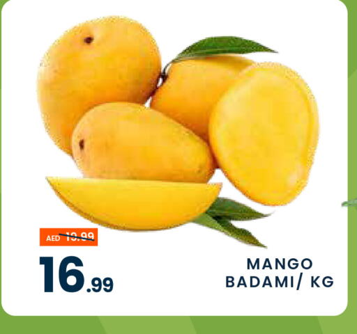 Mango Mangoes available at MADHOOR SUPERMARKET L.L.C in UAE - Dubai