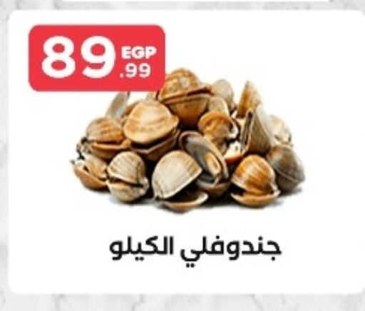 available at مارت فيل in Egypt - القاهرة