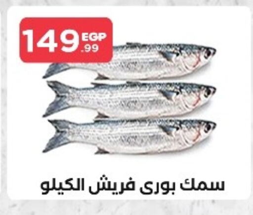 available at مارت فيل in Egypt - القاهرة