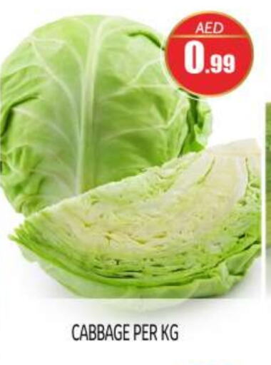 Cabbage available at بيج مارت in الإمارات العربية المتحدة , الامارات - أبو ظبي