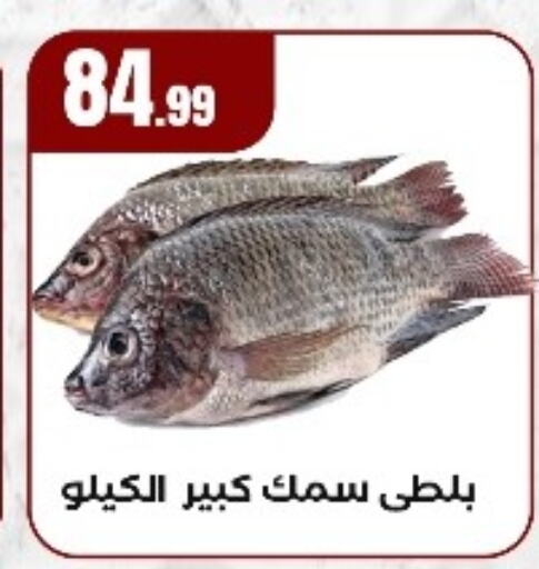 available at مارت فيل in Egypt - القاهرة