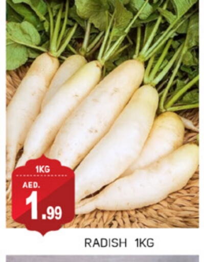 Radish available at TALAL MARKET in UAE - Abu Dhabi