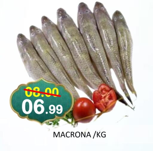 available at ROYAL GULF HYPERMARKET LLC in UAE - Abu Dhabi