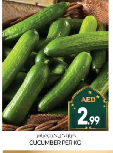 Cucumber available at BIGmart in UAE - Abu Dhabi