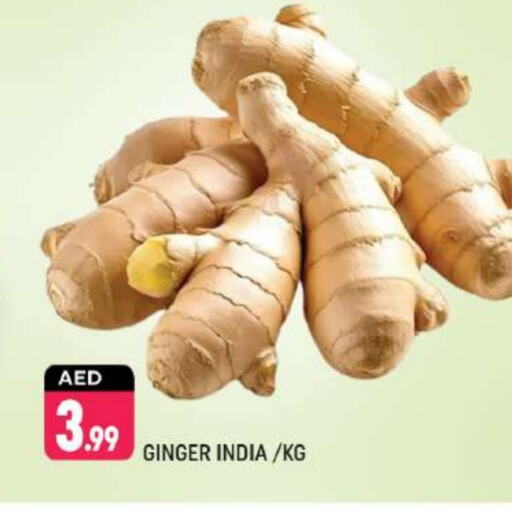 Ginger from India available at Shaklan  in UAE - Dubai