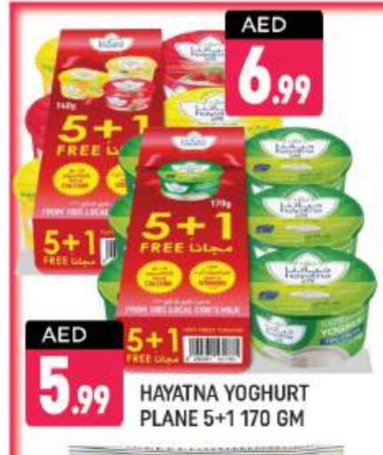 HAYATNA Yoghurt available at Shaklan  in UAE - Dubai