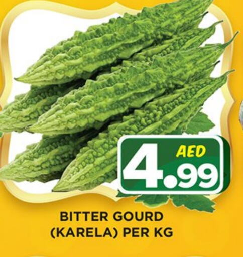 Gourd available at Ainas Al madina hypermarket in UAE - Sharjah / Ajman