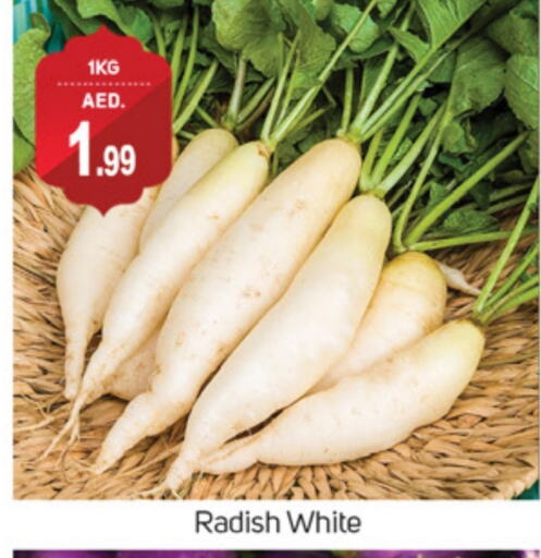 Radish available at TALAL MARKET in UAE - Sharjah / Ajman