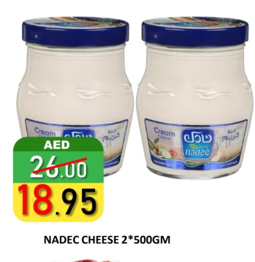 NADEC Cream Cheese available at ROYAL GULF HYPERMARKET LLC in UAE - Abu Dhabi