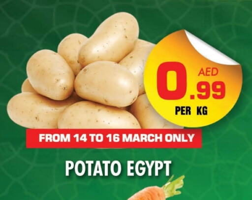 Potato from Egypt available at NIGHT TO NIGHT DEPARTMENT STORE in UAE - Sharjah / Ajman