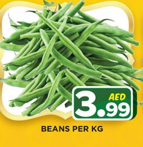 Beans available at Ainas Al madina hypermarket in UAE - Sharjah / Ajman