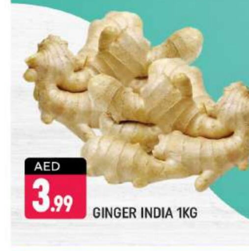 Ginger from India available at Shaklan  in UAE - Dubai