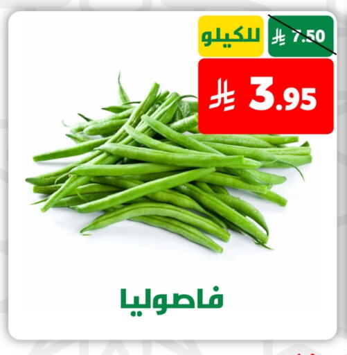 فاصوليا available at صالة العروض in مملكة العربية السعودية, السعودية, سعودية - خميس مشيط