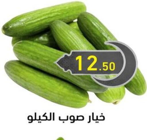 خيار available at أولاد المحاوى in Egypt - القاهرة