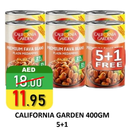 CALIFORNIA GARDEN Fava Beans available at ROYAL GULF HYPERMARKET LLC in UAE - Abu Dhabi