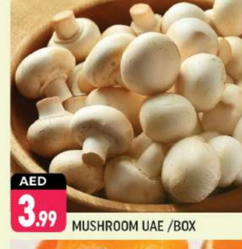 Mushroom available at Shaklan  in UAE - Dubai