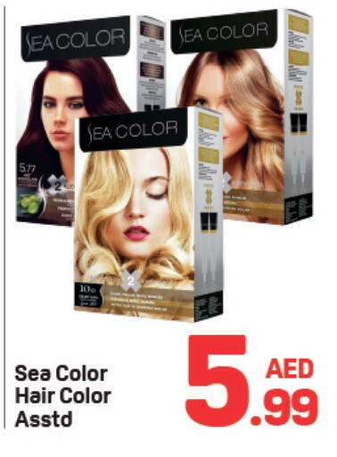 Hair Colour available at Day to Day Department Store in UAE - Dubai