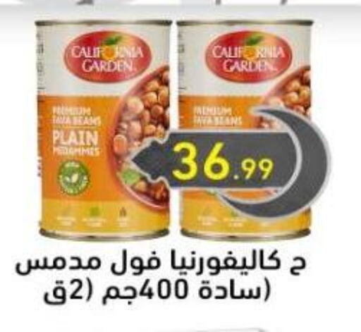 CALIFORNIA Fava Beans available at El mhallawy Sons in Egypt - Cairo