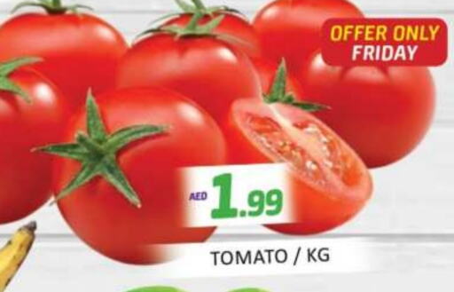 Tomato available at Mango Hypermarket LLC in UAE - Dubai