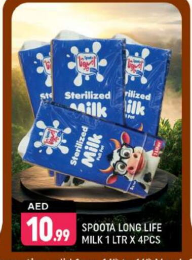 Long Life / UHT Milk available at Shaklan  in UAE - Dubai