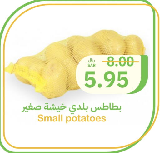 available at أسواق قاطبة in مملكة العربية السعودية, السعودية, سعودية - بريدة