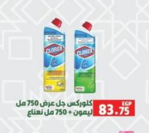 CLOROX General Cleaner available at Green Hypermarket in Egypt - Cairo