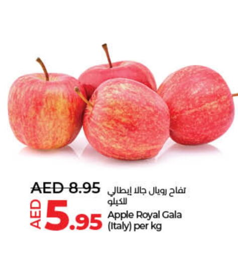 Apples from Italy available at Lulu Hypermarket in UAE - Ras al Khaimah