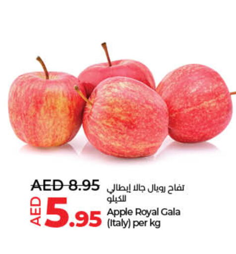 Apples from Italy available at Lulu Hypermarket in UAE - Ras al Khaimah