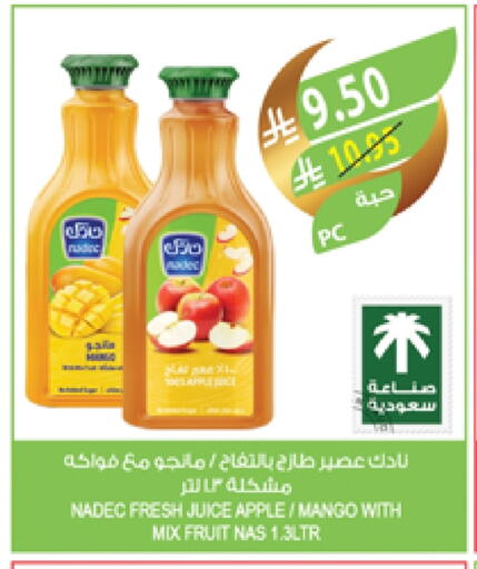 NADEC available at Farm  in KSA, Saudi Arabia, Saudi - Saihat