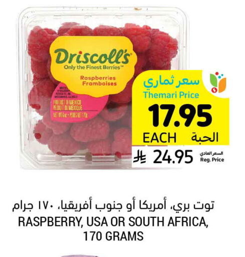 Berries from Mexico South Africa available at Tamimi Market in KSA, Saudi Arabia, Saudi - Abha