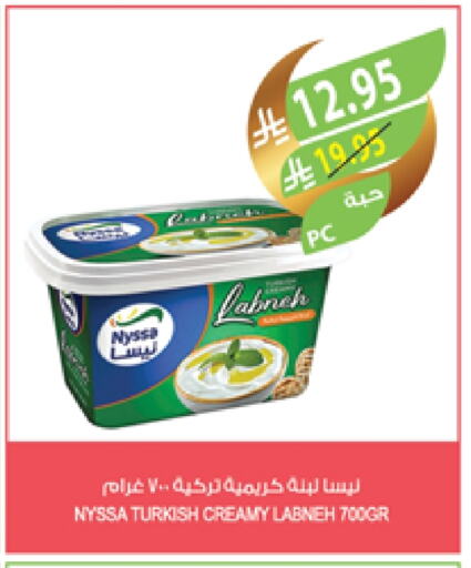 Labneh available at Farm  in KSA, Saudi Arabia, Saudi - Yanbu