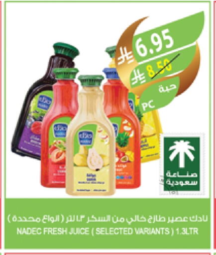 NADEC available at Farm  in KSA, Saudi Arabia, Saudi - Saihat