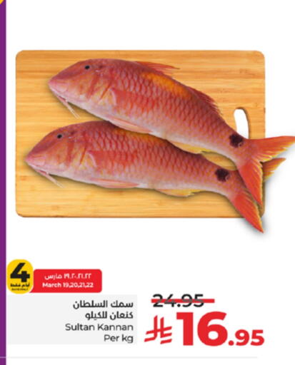 Fresh Fish in LULU Hypermarket, Saudi Arabia Offers - Saudi Arabia available at LULU Hypermarket in KSA, Saudi Arabia, Saudi - Khamis Mushait