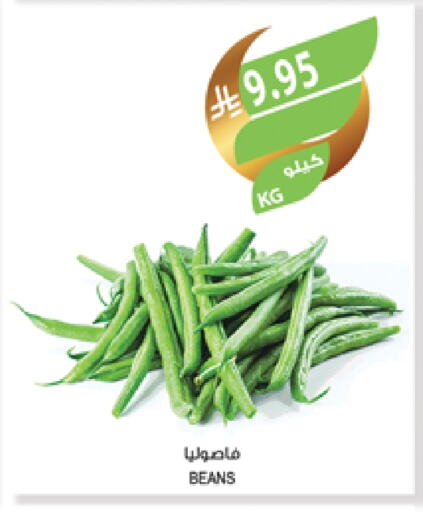 فاصوليا available at المزرعة in مملكة العربية السعودية, السعودية, سعودية - عرعر