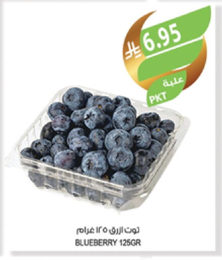 Berries available at Farm  in KSA, Saudi Arabia, Saudi - Abha