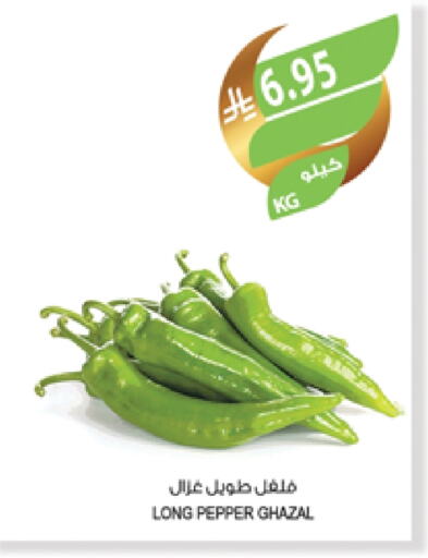 فلفل / فليفلة available at المزرعة in مملكة العربية السعودية, السعودية, سعودية - عرعر