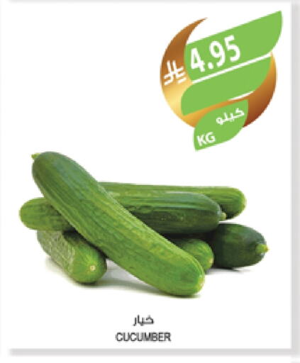 خيار available at المزرعة in مملكة العربية السعودية, السعودية, سعودية - عرعر