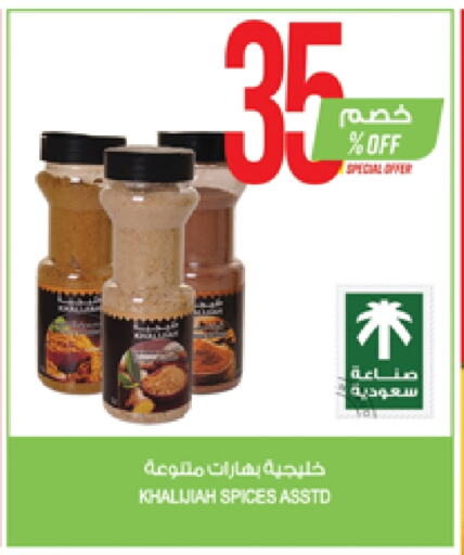 Spices available at Farm  in KSA, Saudi Arabia, Saudi - Yanbu