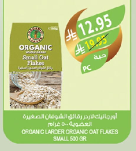 الشوفان available at المزرعة in مملكة العربية السعودية, السعودية, سعودية - عرعر