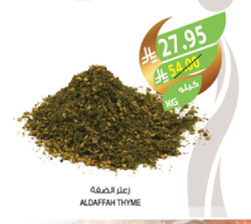 Spices available at Farm  in KSA, Saudi Arabia, Saudi - Yanbu