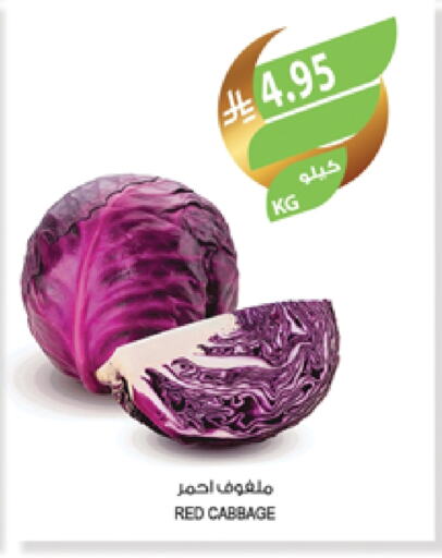 كرنب available at المزرعة in مملكة العربية السعودية, السعودية, سعودية - عرعر