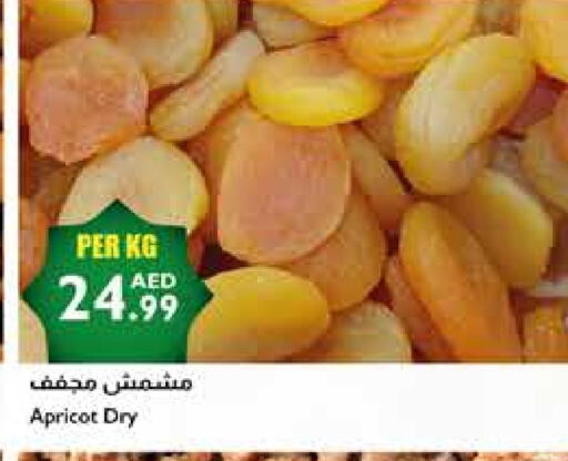 Apricot available at إسطنبول سوبرماركت in الإمارات العربية المتحدة , الامارات - رَأْس ٱلْخَيْمَة