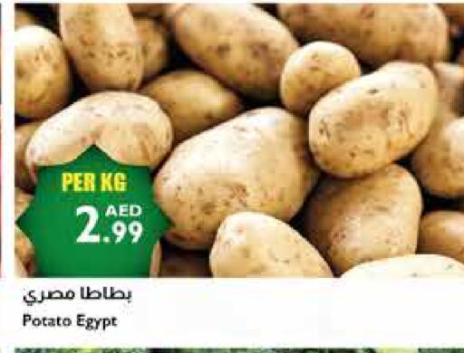 بطاطا from Egypt available at إسطنبول سوبرماركت in الإمارات العربية المتحدة , الامارات - دبي