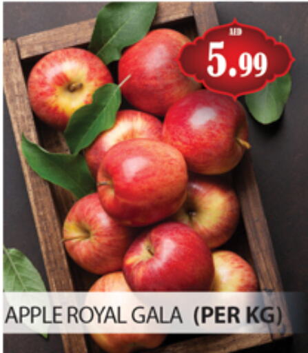 Apples available at Gulf Hypermarket LLC in UAE - Ras al Khaimah