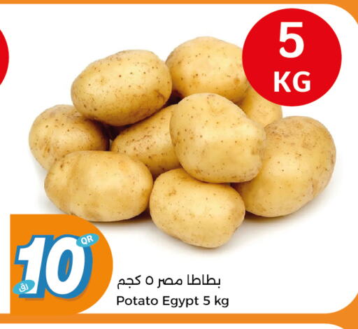 Potato from Egypt available at City Hypermarket in Qatar - Al Wakra