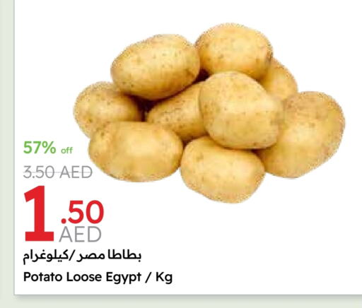 بطاطا from Egypt available at جمعية الامارات التعاونية in الإمارات العربية المتحدة , الامارات - دبي