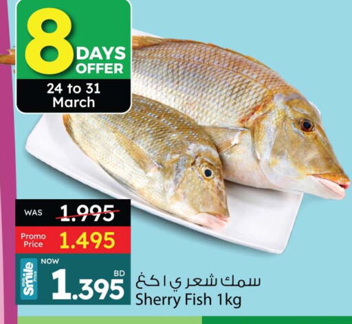 available at أنصار جاليري in البحرين