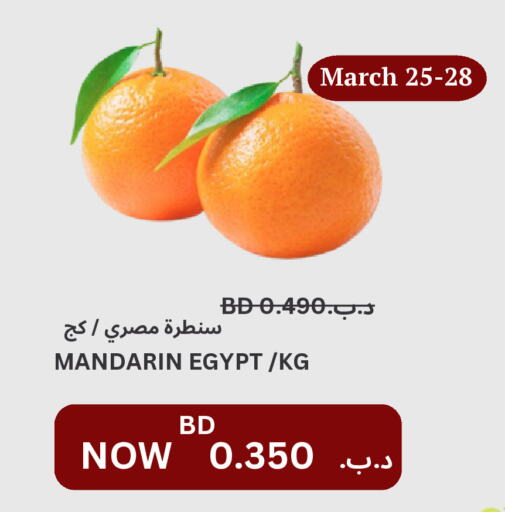 برتقال from Egypt available at مالتي ماركت in البحرين