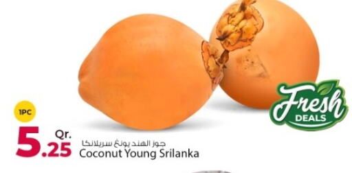Coconut available at روابي هايبرماركت in قطر - الريان